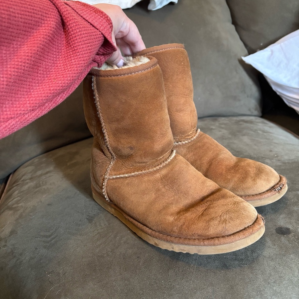 Classic Chesnut Uggs